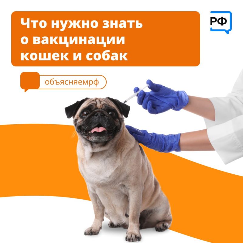 �� � ������ �� ���, ���� ���������