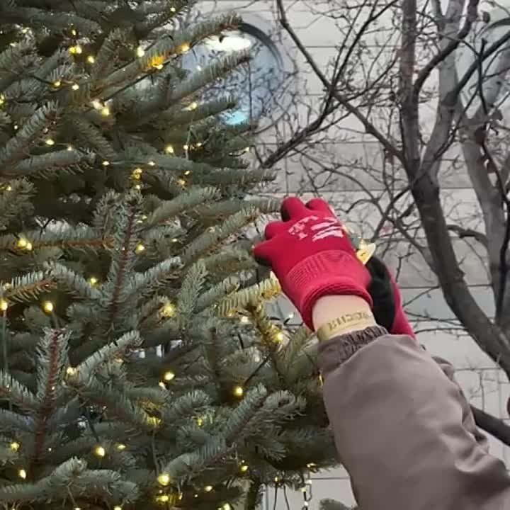 ������������ ����� �������� ������ ����� ��������� ������ ������ ���������� ����������