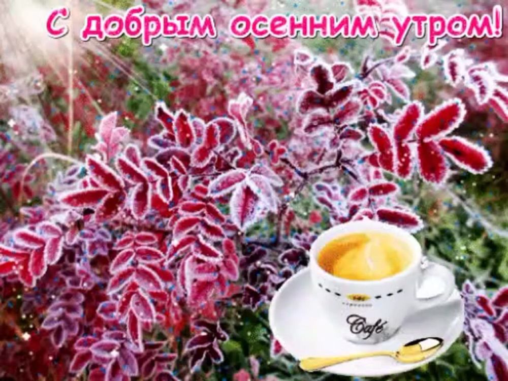� ������ �����, ������������� �����!