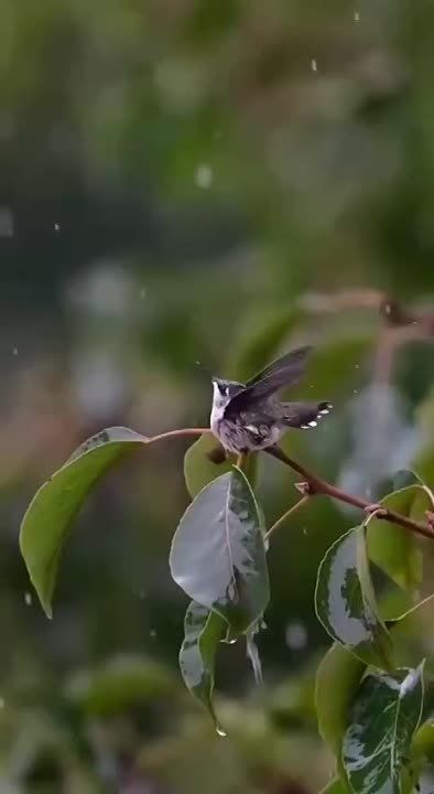 ������� �������: �������� ���. �����, ������� �� ������