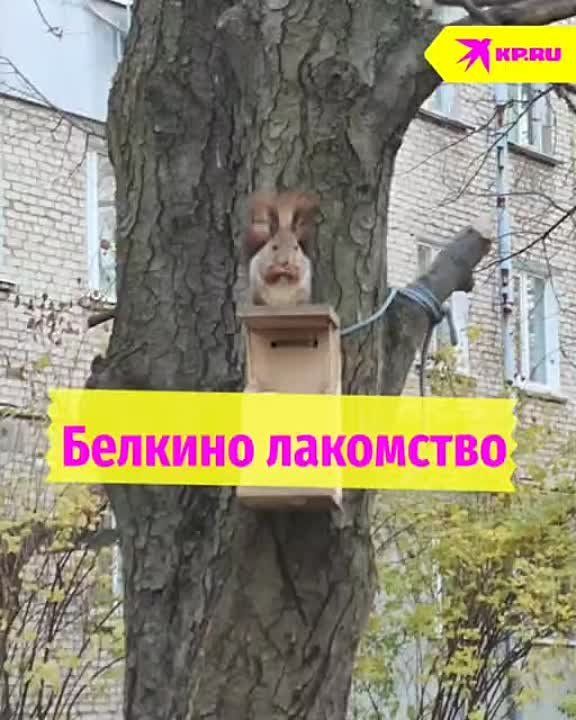 �������� �����. ����� ����� ���� ������� � �����. ��� ��������� ������� ��� ���� ������� ���