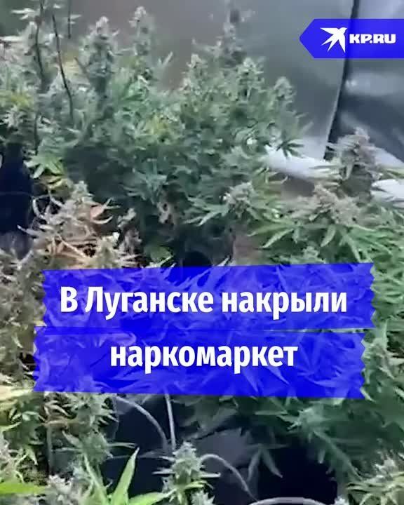 � �������� ��������� ������������ � ���������� ������������