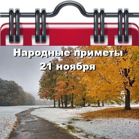 �������� �������21 ������
