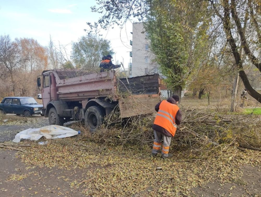 ��������: ������ �� ��������������� � ������ ���������������� ������������