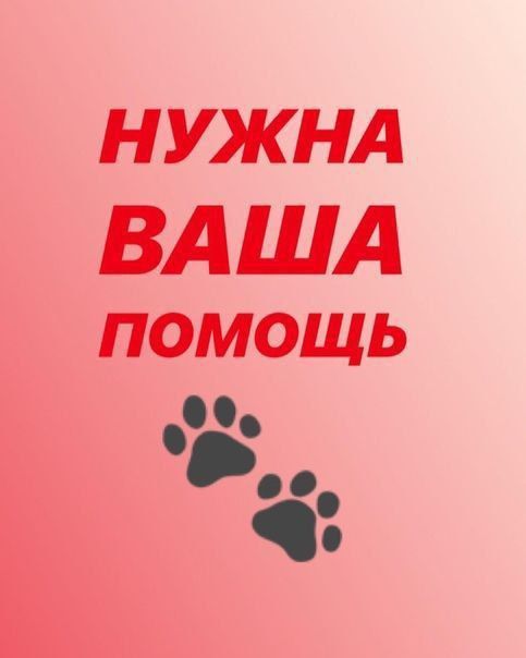 ������, �������� ������ "������ ���" � ��������, ������� ���������� � 2014� � ��������� � ���� ���������� ���, ����� ����� ��������� ������, ����� ����� � ������ �� ����