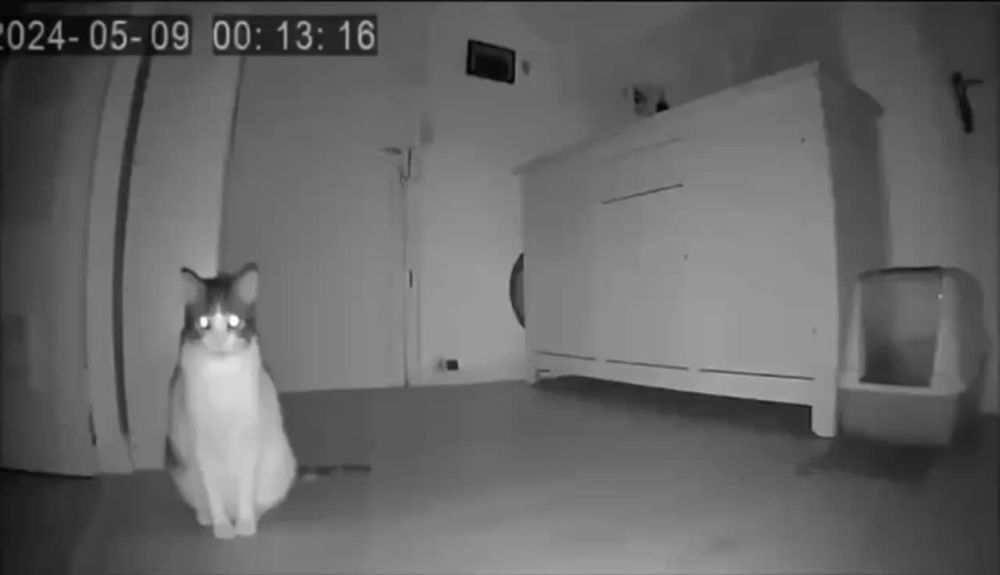 �� �� ��� ���, ����� �� ������ ������