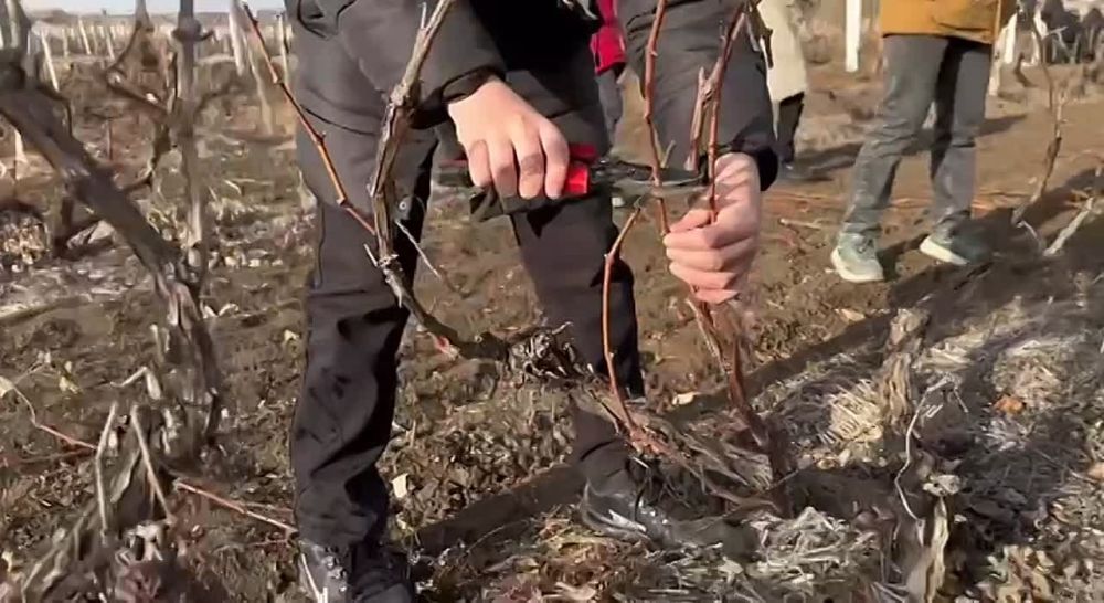 ���������� ����������� ���������� ������� ����� ������� �� �������� ������������� � ��������� ����������� ���������