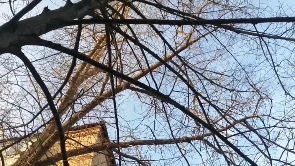 � ��������� ����� ���������� ����������� ��������� ���������� ����� �������� � ��������, ��������� � ������