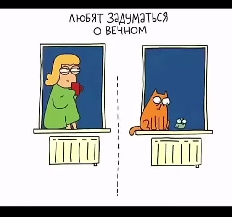 ������� �������: ��� ������ � ������� � �����?!)