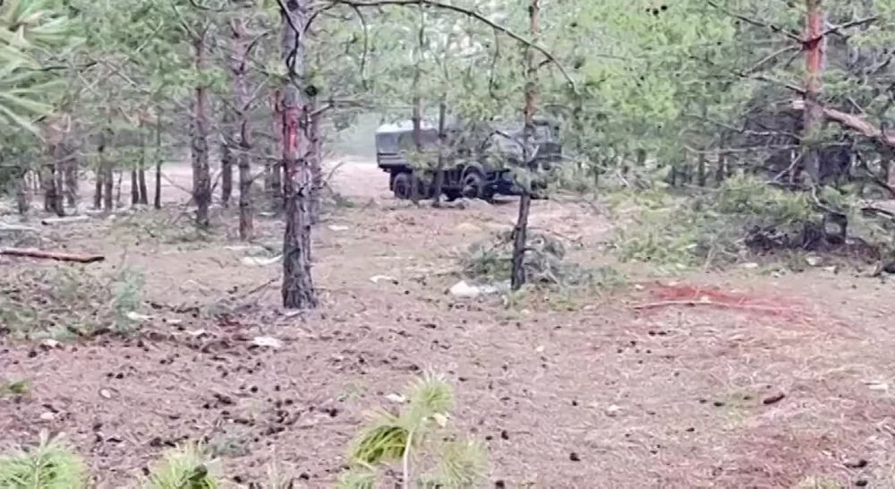 ���� �� FPV-�����: ������ � ���������