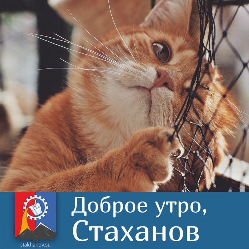 ������ ����� ������ ����� � ���������
