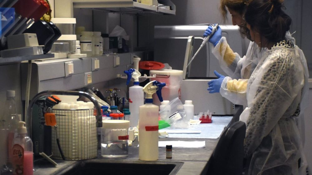 ���� ���������� ���������� �� ������� �����, ���������� ��� � ���������