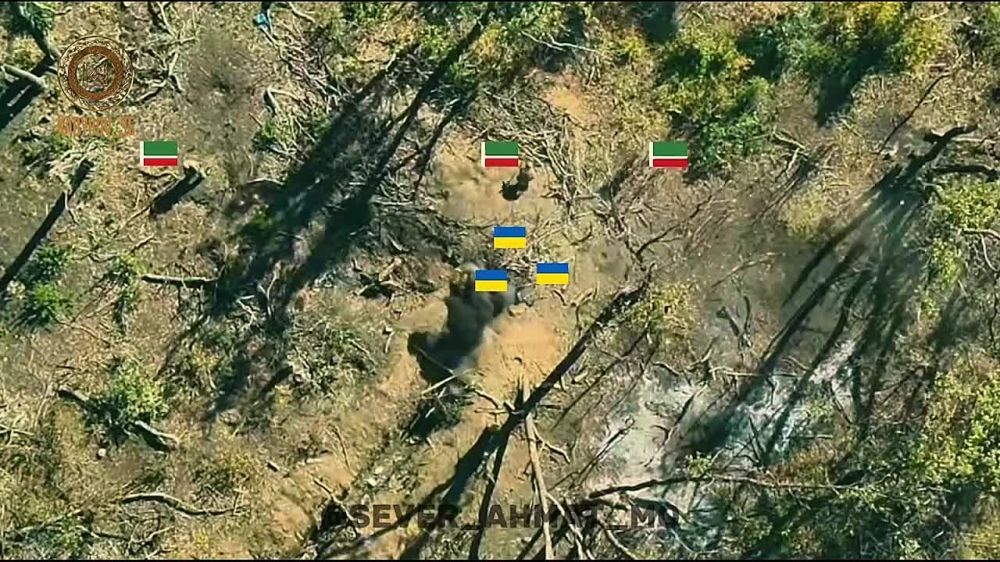 ������ �������: ����������� ���������� �������� ������ �������� � ������ ����� ���