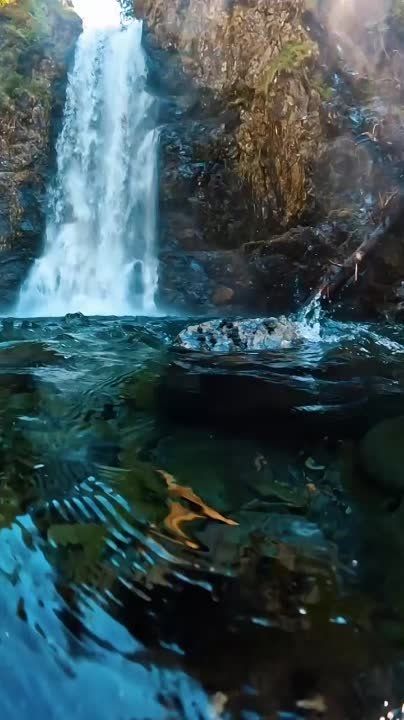 ��������� ������ ��, ��� �� ������ ������� � � ���� ��, � ��� ������ ���� �� �������