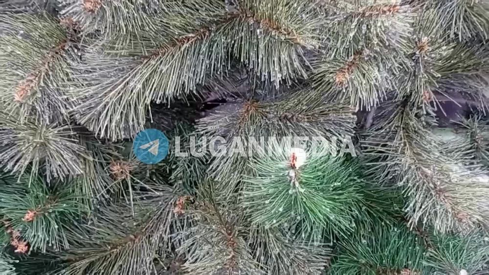 ���������� ���� ����� ������ ����������, � ���� ��������� ����� ������ � ������ �������� ��������� ������
