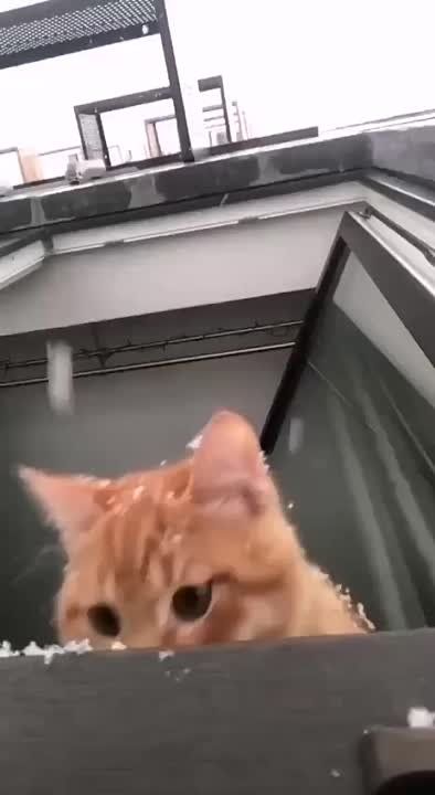 ������� �������: � ����� ������ ������ ����