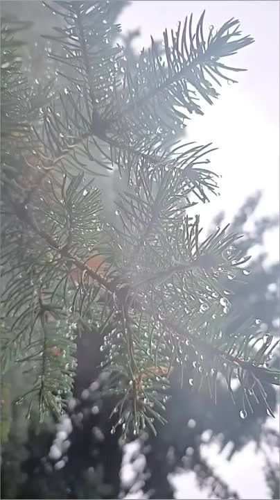 ��� ��� ������� � ����������� ���� ���������� ������� ������� ������ ����