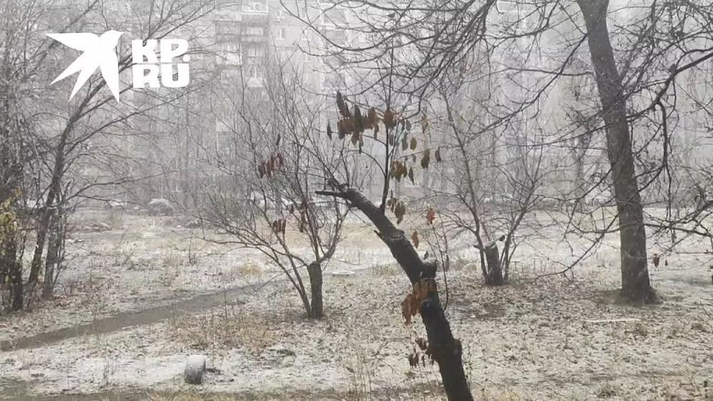 ������� ���� � ��������