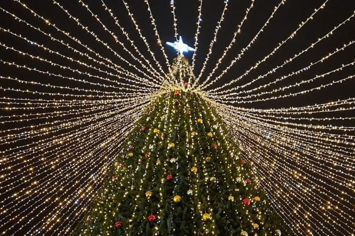 Открытие центральной елки ЛНР запланировано на 20 декабря