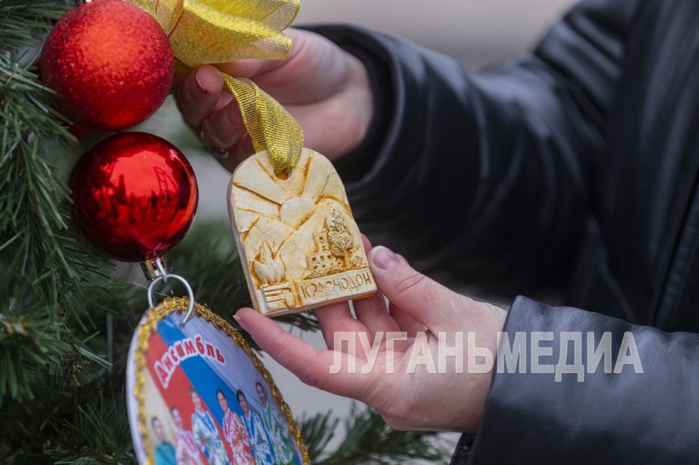 Краснодонский муниципальный округ поставил новогоднюю ель, символизирующую муниципалитет, возле главной елки республики