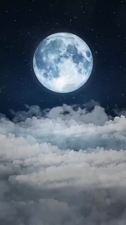 ���� ��������� � ���� ����� - Ҹ���-������� � ����� ��� ������