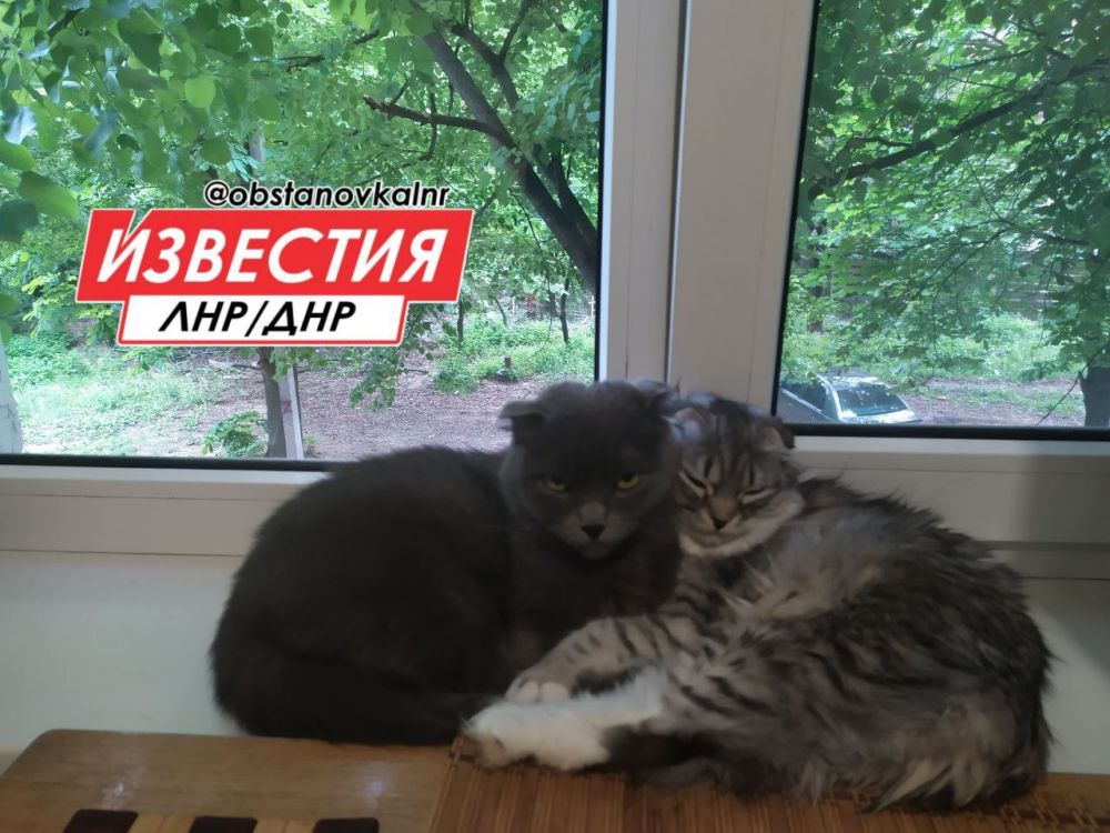 27 ������ �� ���������� ��������� ������� � ������������