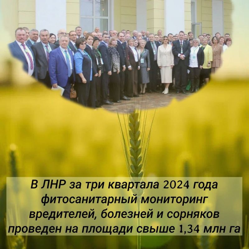 �������� ������� ��������: ���������������