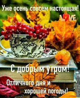 � ������ �����, ������������� �����!