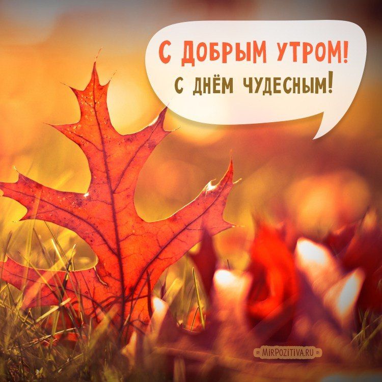 � ������ �����, ������������� �����!