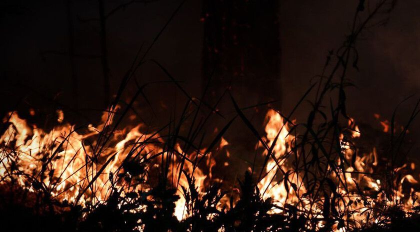 ������ �� ��� ���������� � ��������-��������� ������ 4,3 ���. �� ����