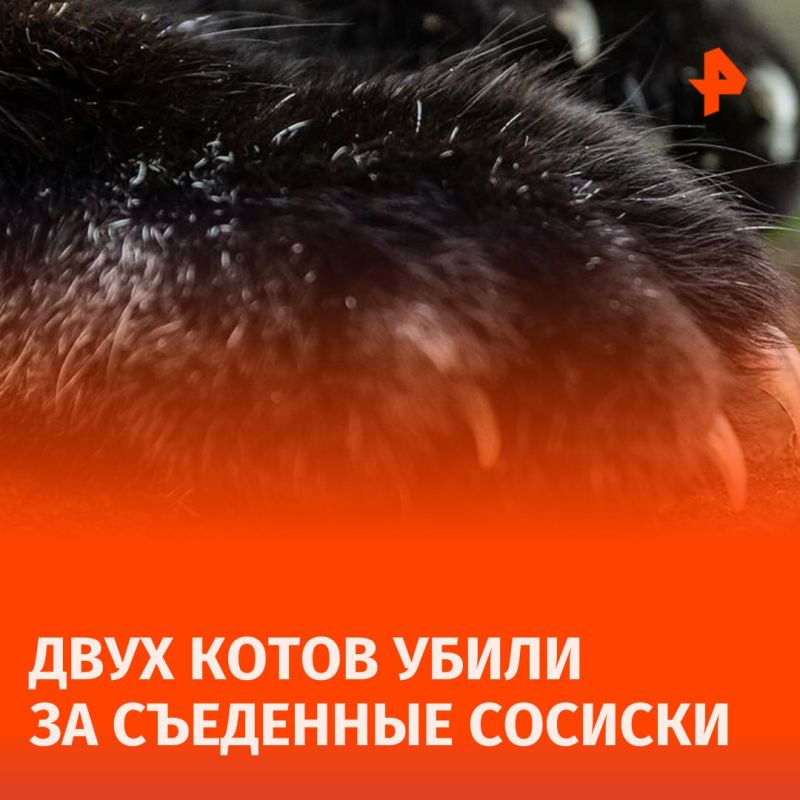 ���� �� �������: �������� �������� �������� ���� ����� "�� ��� ����" �� ��������� ����