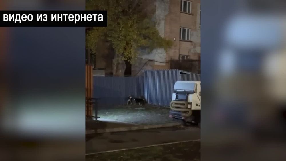 ����������, ��������� ������� � ����� � ����� �� ������� ��������, ���� ���������� ���