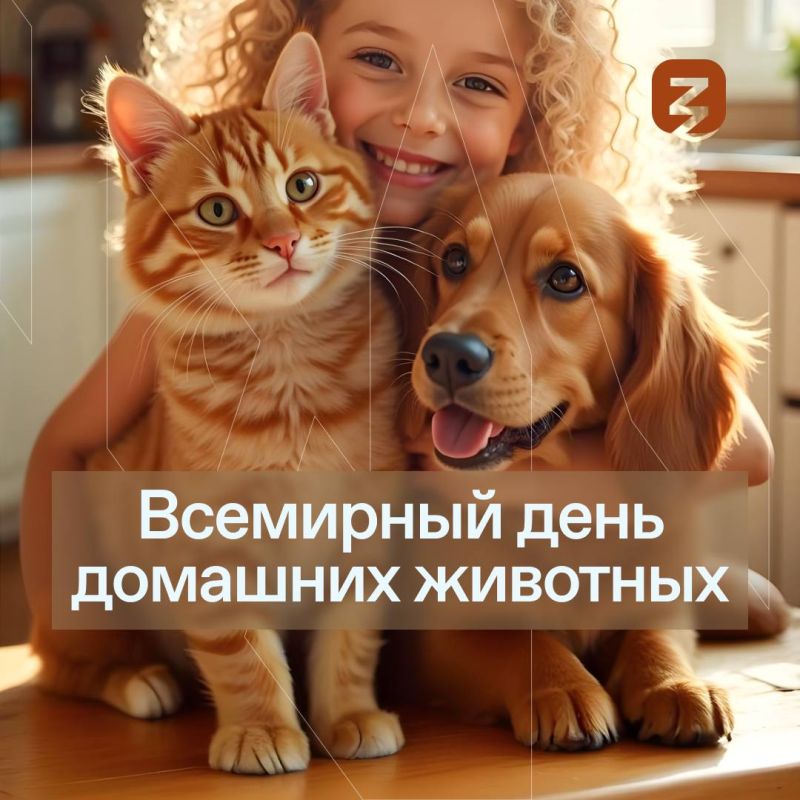 �������� ��� �������� � �� ������