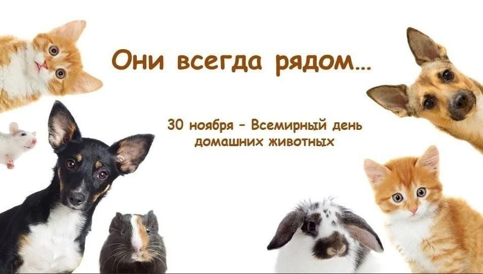 �������� 30 ������ ���������� ��������� ���� �������� ��������