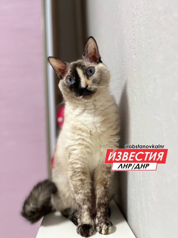 2 ������� �� ���������� ��������� ������� � ������������
