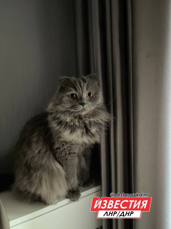3 ������� �� ���������� ��������� ������� � ������������
