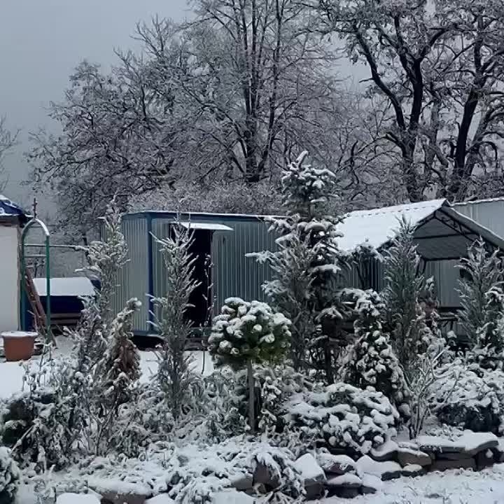 ������� ��������� ������ ����� ������� � ��������� ����������. ������� �� ������ ����������� ������ �����, � ������� ���� ����� ���������