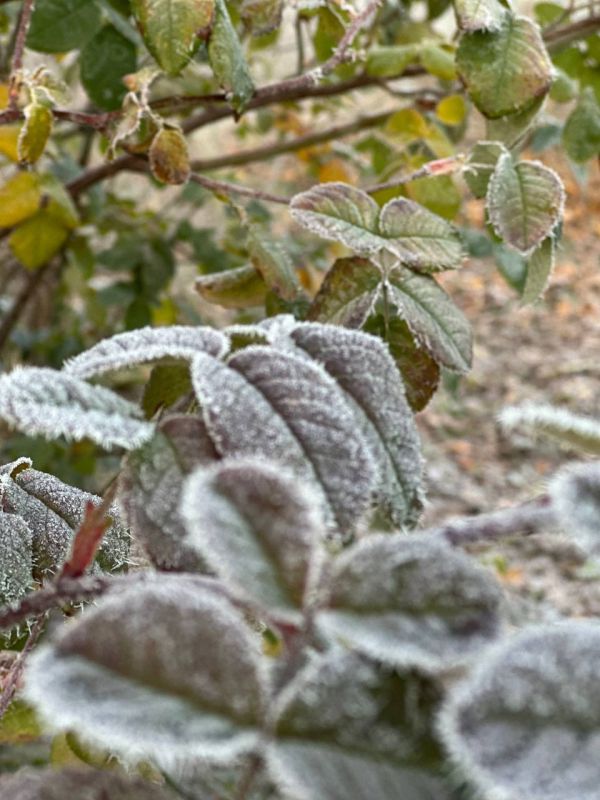 � ������ �����, ������ ����������� �������������� ������!