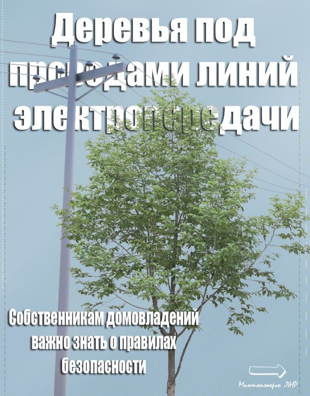 �����, �������� ��� ��������� ����� �������������� ����� ���������� �������� �������� � ����������������