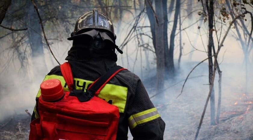 ������� ��������: ��������-��������� ������ ���������� ������������ ������