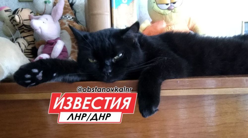 4 ������� �� ���������� ��������� ������� � ������������