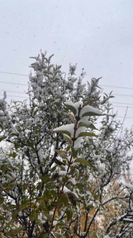 � ������ �����, ������ ����������� �������������� ������!