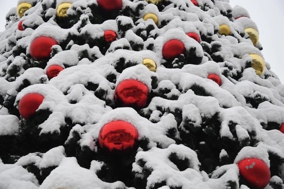 ������� ������� �������� ���� ������������� �� ������� ������� ��������