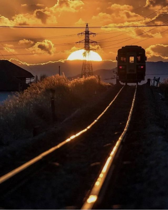 ������� �������: �������� ���. �������: