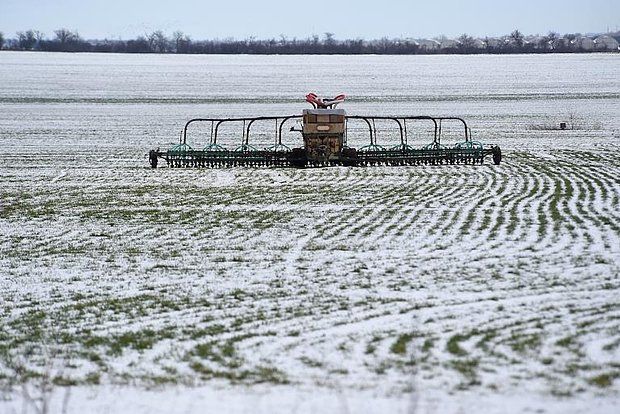 ���������: � 2025-� ������ ����� ����������� � ��������� ������� ������ ������