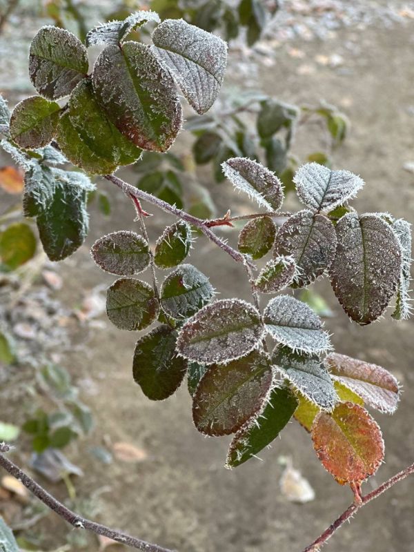 � ������ �����, ������ ����������� �������������� ������!