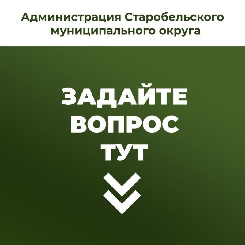 �������� ������: ������ �������������� �������������� ������ ����� �������� ���� �������, �����������, ������ � ��������-��� @ObrashcheniyaBot
