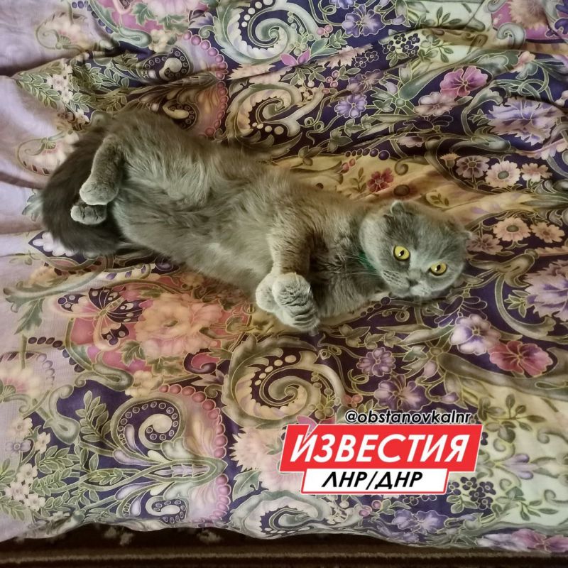 5 ������� �� ���������� ��������� ������� � ������������