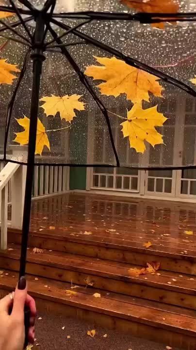 �������� ����� ���, ��� ������ �� ���������