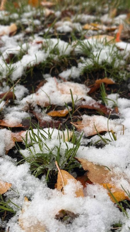 � ������ �����, ������ ����������� �������������� ������!